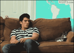 100.gif