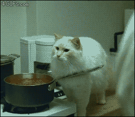 101.gif