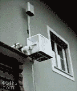 102.gif