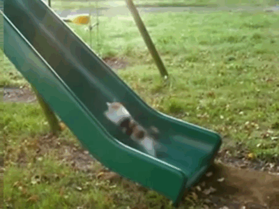 104.gif