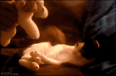 106.gif