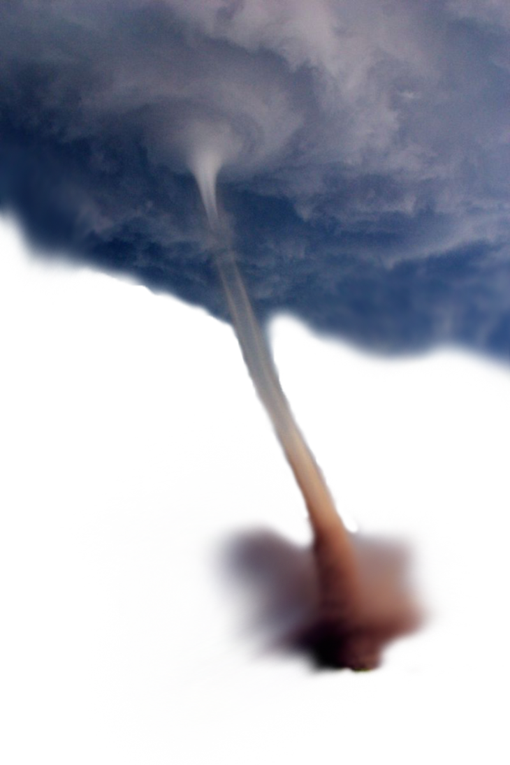 286.png