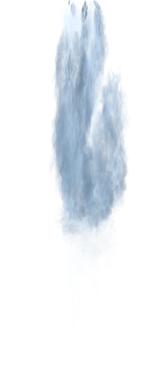 295.png