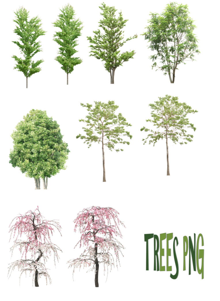 352.png