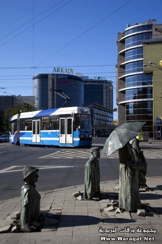 509.jpg