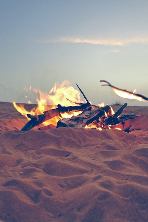 779.jpg