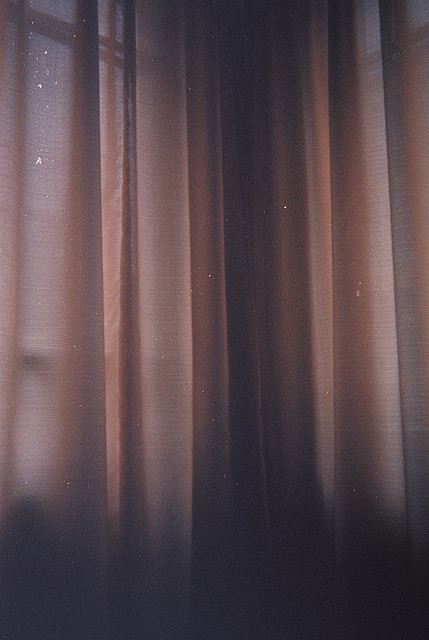 781.jpg