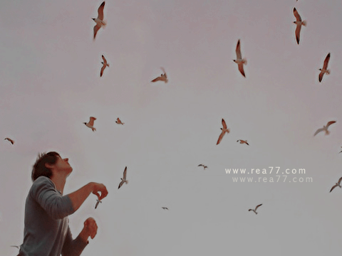 90.gif