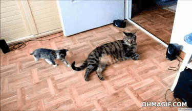 98.gif