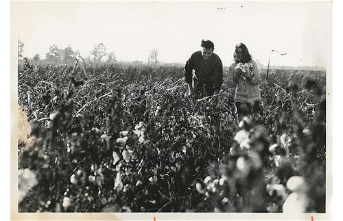86.jpg