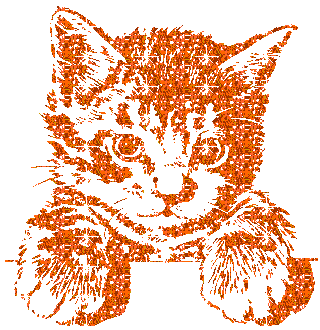 66.gif