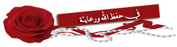 73.png