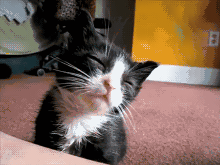 177.gif