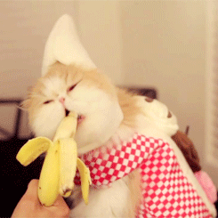 187.gif