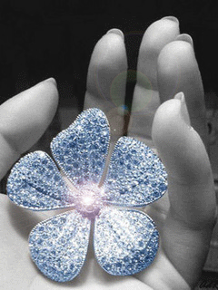 204.gif