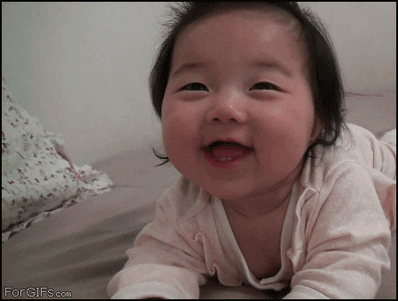 22.gif