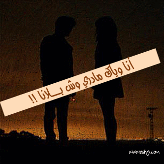 251.gif