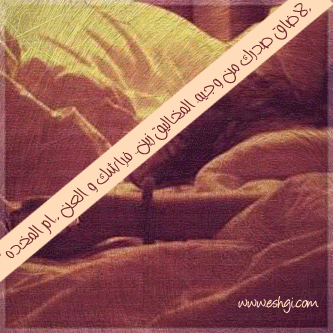 252.gif