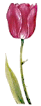 321.gif