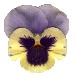 332.gif
