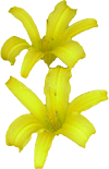 346.gif