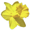 365.gif
