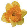 366.gif