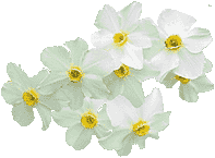 376.gif