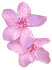 377.gif