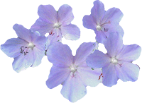 416.gif
