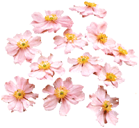 464.gif