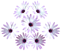 467.gif