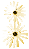468.gif