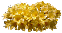 486.gif
