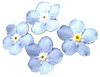 501.gif