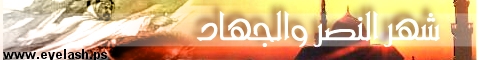 313.jpg