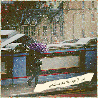 5.gif