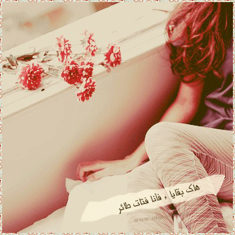 6.gif