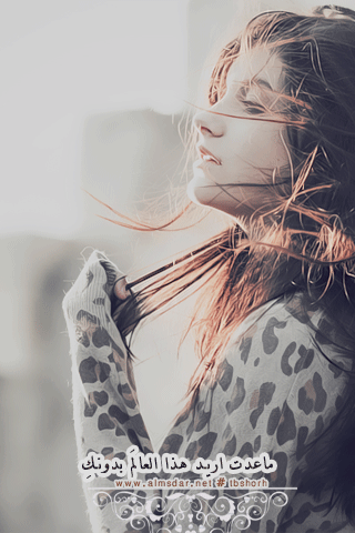 101.gif