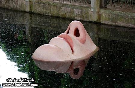 107.jpg