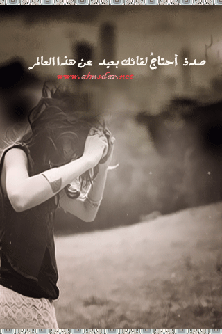 111.gif