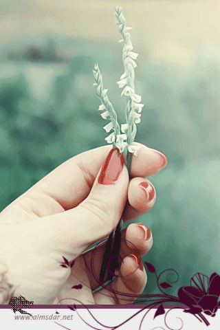 122.gif