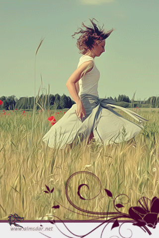 127.gif