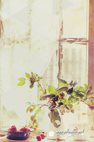142.gif