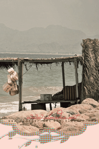 160.gif