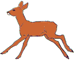 258.gif