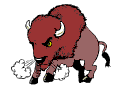 259.gif