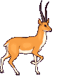 262.gif
