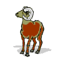 263.gif