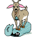 264.gif